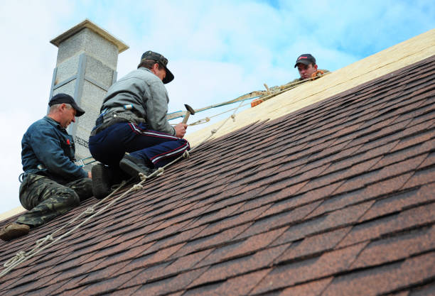 Best Roof Gutter Cleaning  in Woodlawn, MD